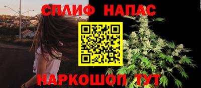мдпв Краснознаменск