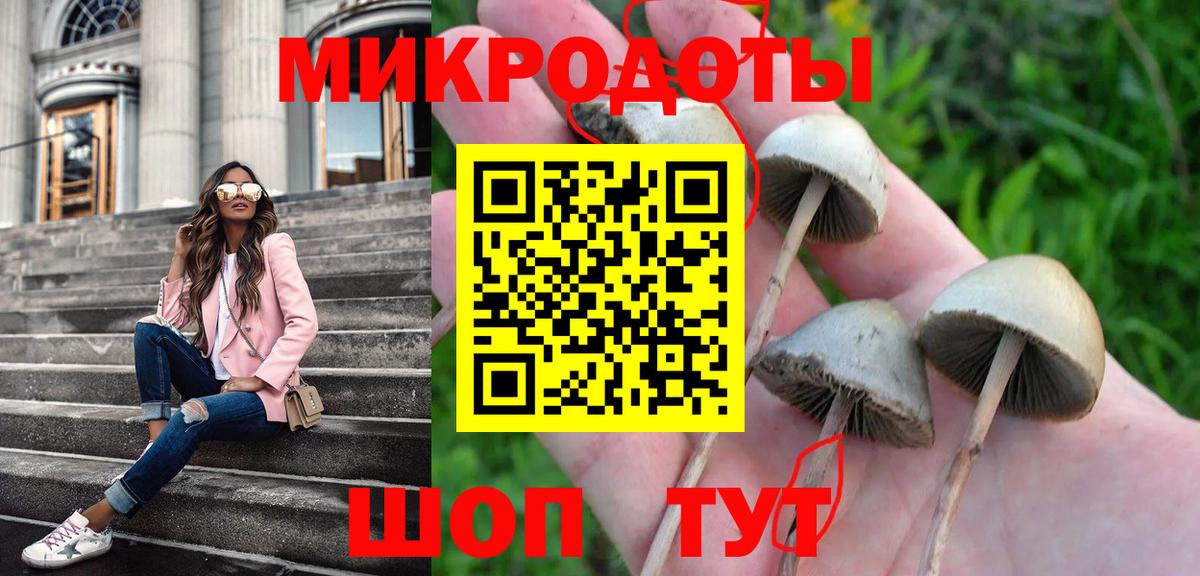 Псилоцибиновые грибы Cubensis Изобильный