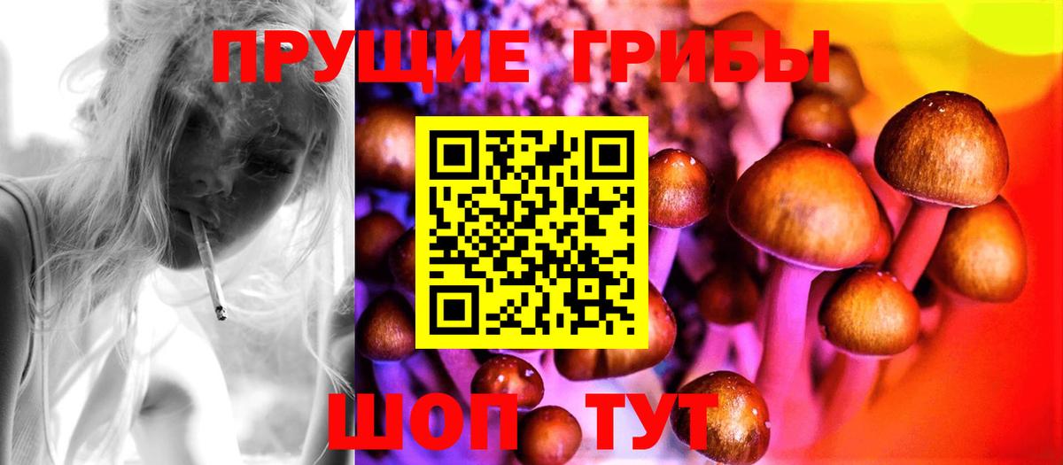 Псилоцибиновые грибы мицелий  Вход с VPN  Изобильный 